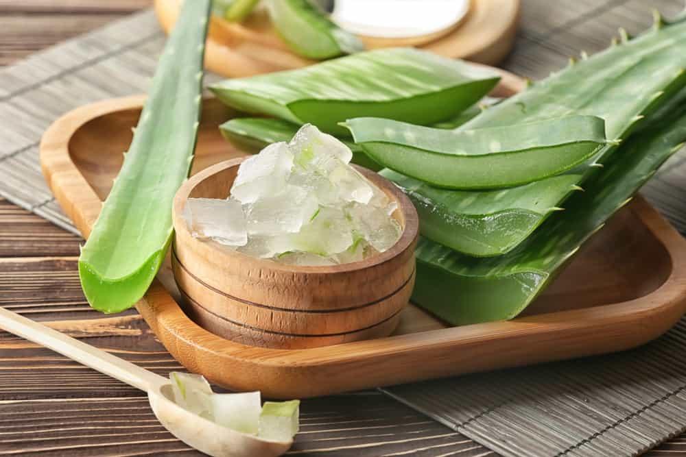 kích thích mọc tóc - lô hội/nha đam