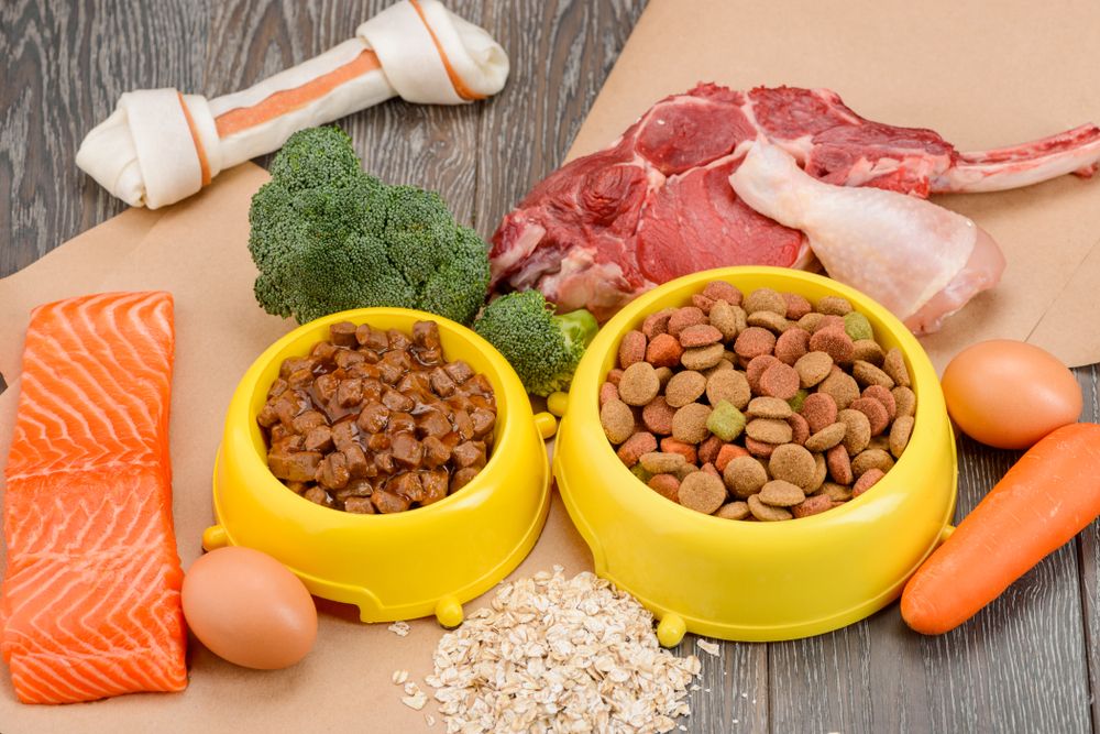 Người bị gãy xương đòn nên ăn gì và kiêng gì để nhanh chữa lành vết gãy?