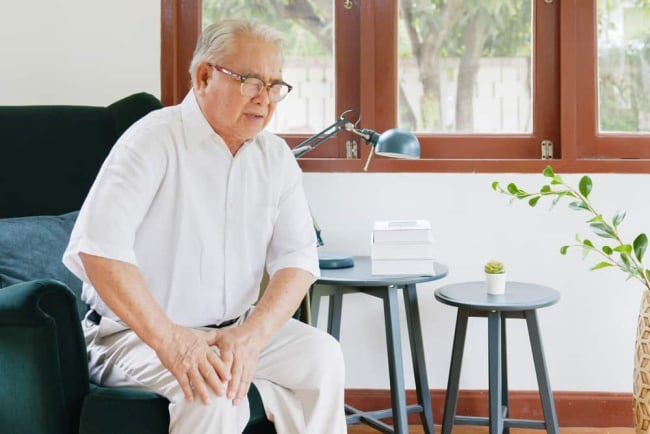Các loại cây chữa bệnh xương khớp: 9 thảo dược hiệu quả, an toàn