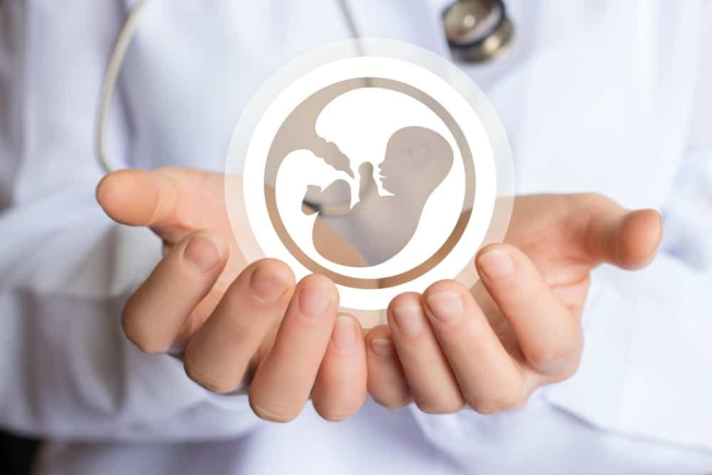 Thời điểm dễ mang thai là khi nào? Hiểu rõ để tăng cơ hội thụ thai