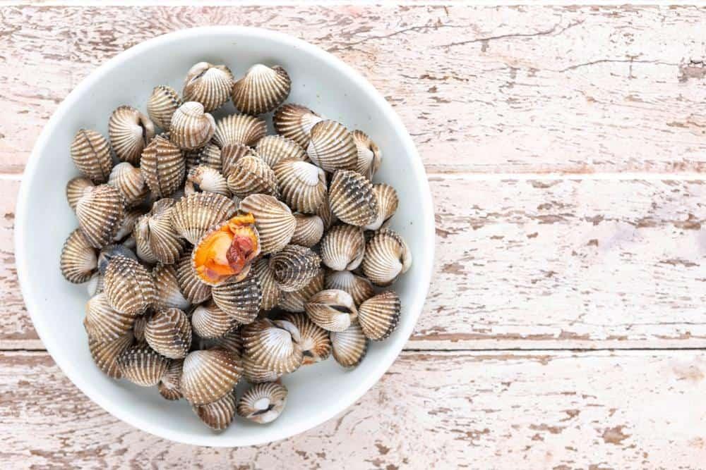 cách nấu cháo sò huyết cho bé