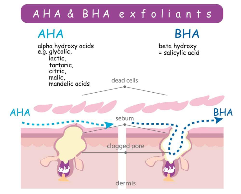 AHA là gì? Công dụng, cách dùng AHA cho người mới bắt đầu • Hello Bacsi