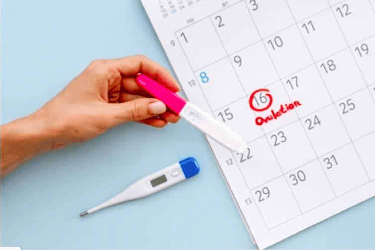 cách quan hệ để sinh con trai: quan hệ sau ngày rụng trứng