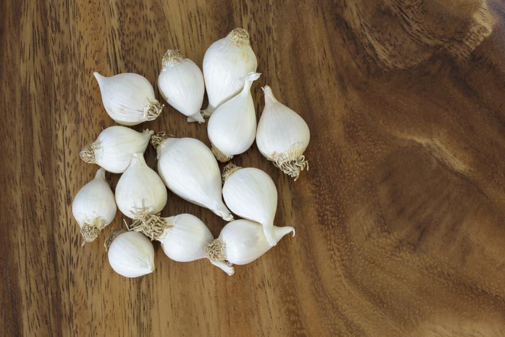 Tỏi lý sơn và những lợi ích tuyệt vời cho sức khỏe