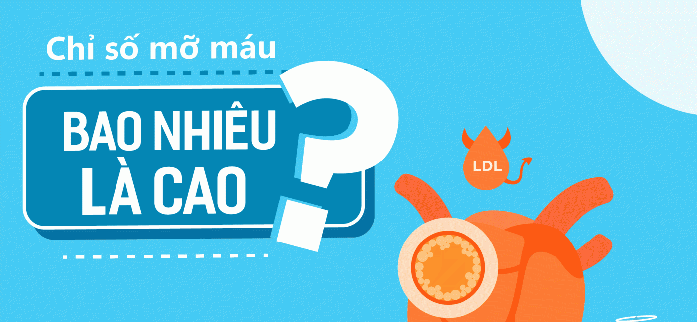 Mỡ máu bao nhiêu là cao? Làm sao để kiểm soát hiệu quả?