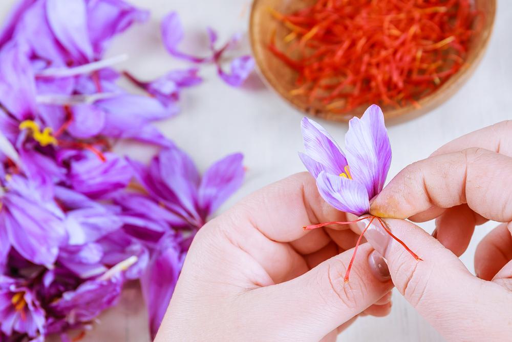 Mách bạn 8 cách dùng saffron đơn giản, đúng chuẩn nhất