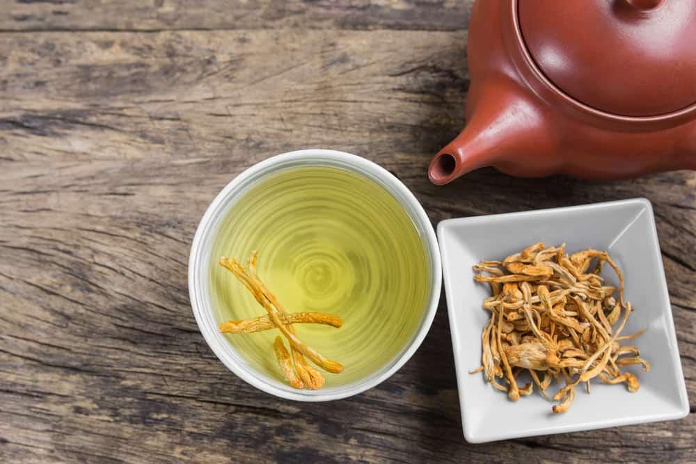 6 cách sử dụng đông trùng hạ thảo tươi và khô hiệu quả