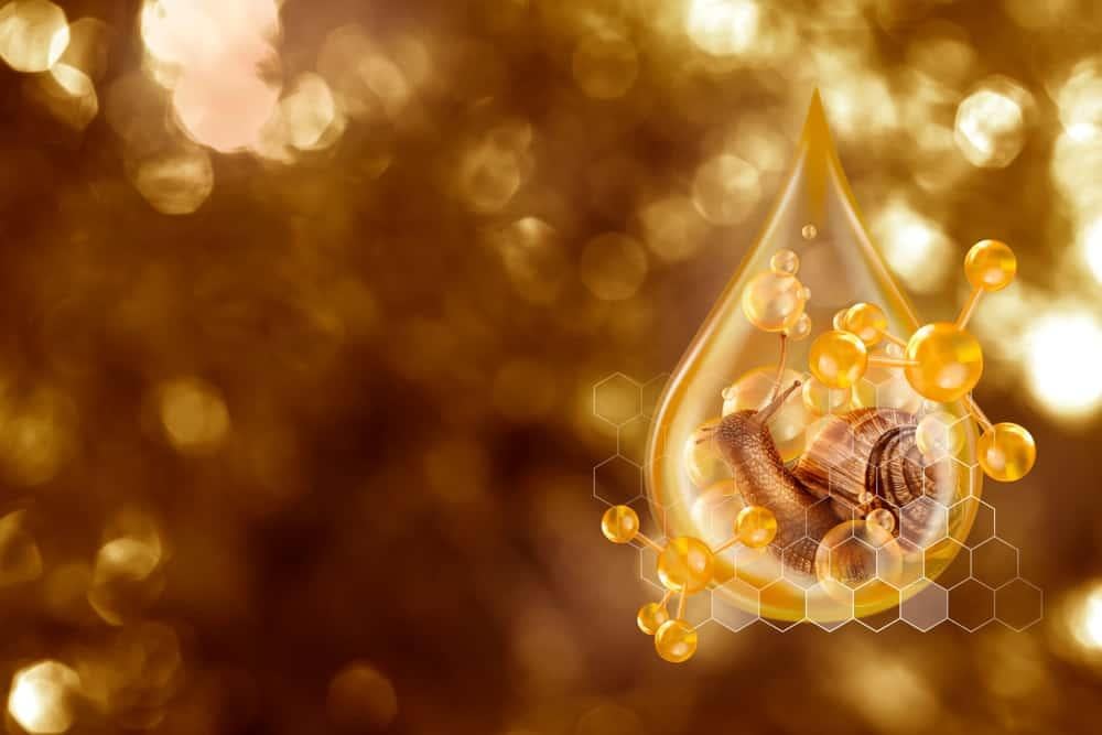 Tinh chất ốc sên trong mỹ phẩm có tác dụng gì cho da?