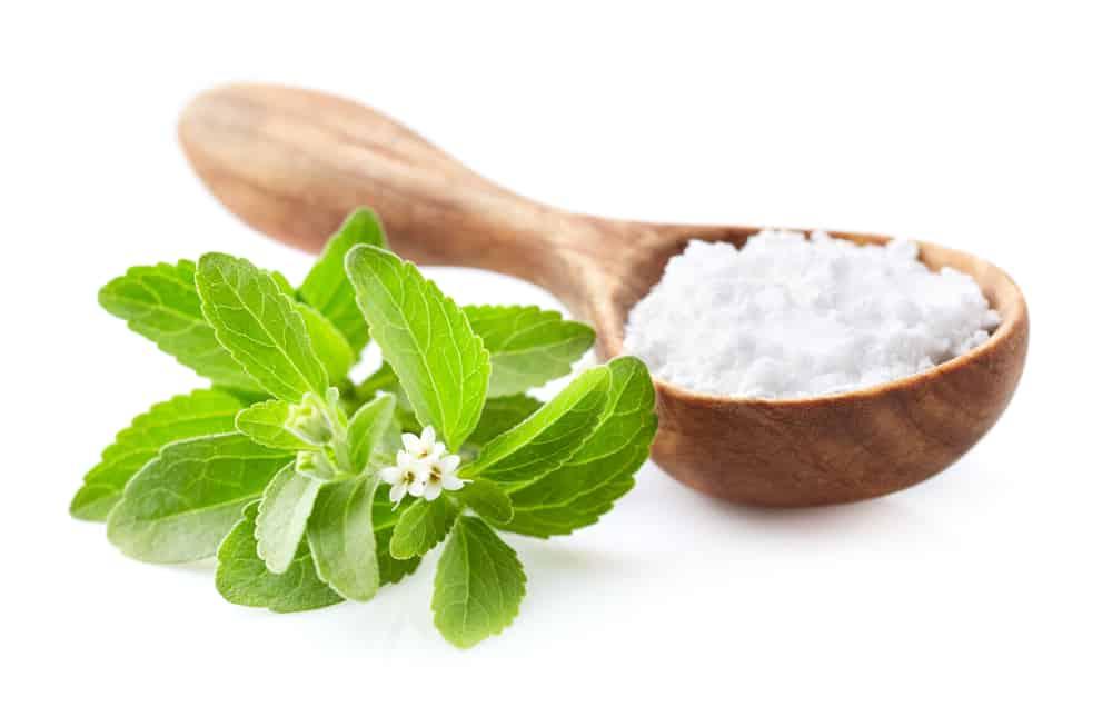 Cây cỏ ngọt - Thảo dược dành cho người bệnh tiểu đường