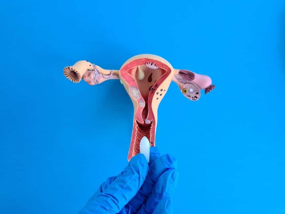 Hướng dẫn cách sử dụng viên đặt phụ khoa nhanh khỏi bệnh