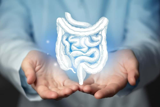 Làm sao để hệ tiêu hóa tốt hơn? 4 bí quyết bạn nhất định phải biết!