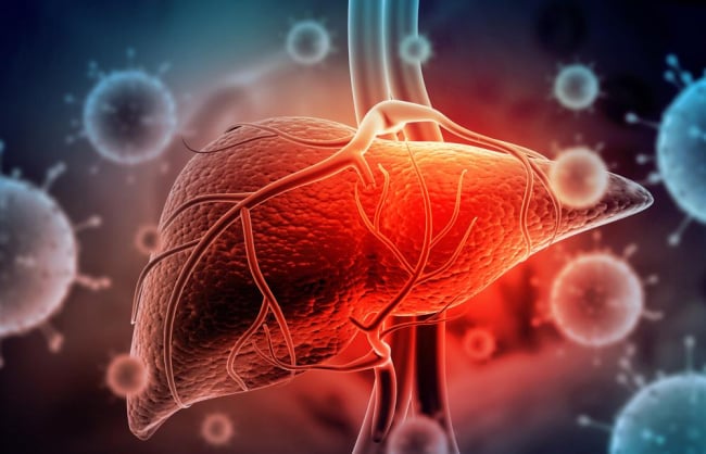 Viêm gan C có lây không? Những con đường lây truyền virus viêm gan C