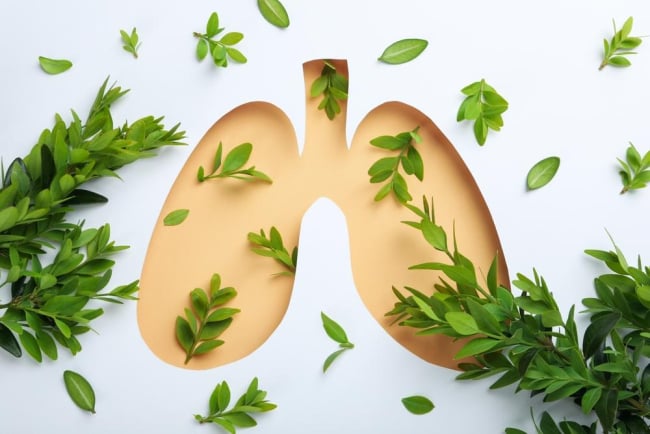 Review 5 loại thuốc bổ phổi phổ biến nhất hiện nay