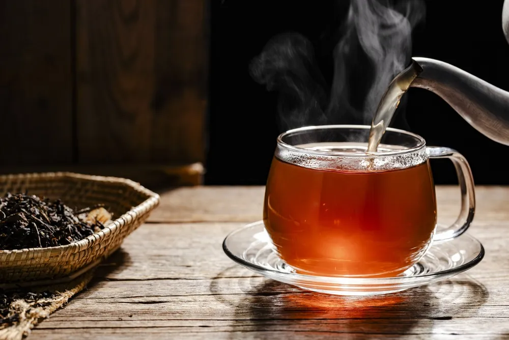 lá sung chữa bệnh tiểu đường