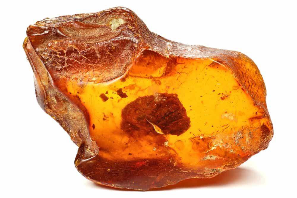 Long diên hương là gì? Hương liệu quý có trị giá hàng trăm nghìn Đô