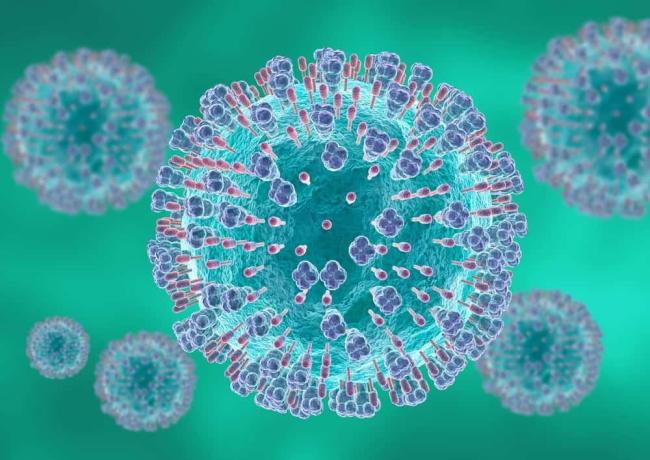 Virus hợp bào hô hấp RSV: Tác nhân phổ biến gây bệnh hô hấp ở trẻ