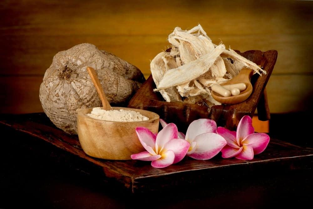 Sâm tố nữ: Dược liệu quý cho sức khỏe, sắc đẹp nữ giới