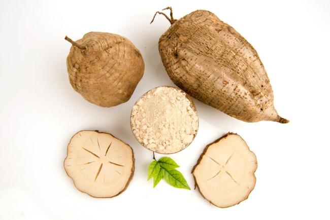 Uống sâm tố nữ bao lâu thì có tác dụng và lưu ý khi sử dụng