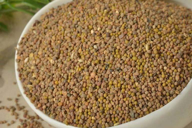 Vị thuốc thỏ ty tử là gì và tác dụng chữa bệnh của nó