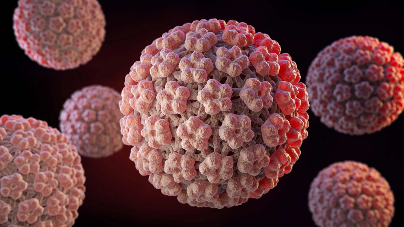 HPV lây qua đường nào? Cách phòng ngừa lây nhiễm HPV như thế nào?