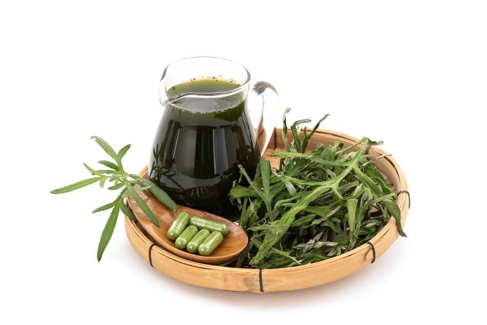 Cây thanh hao hoa vàng và những tác dụng quý với sức khỏe