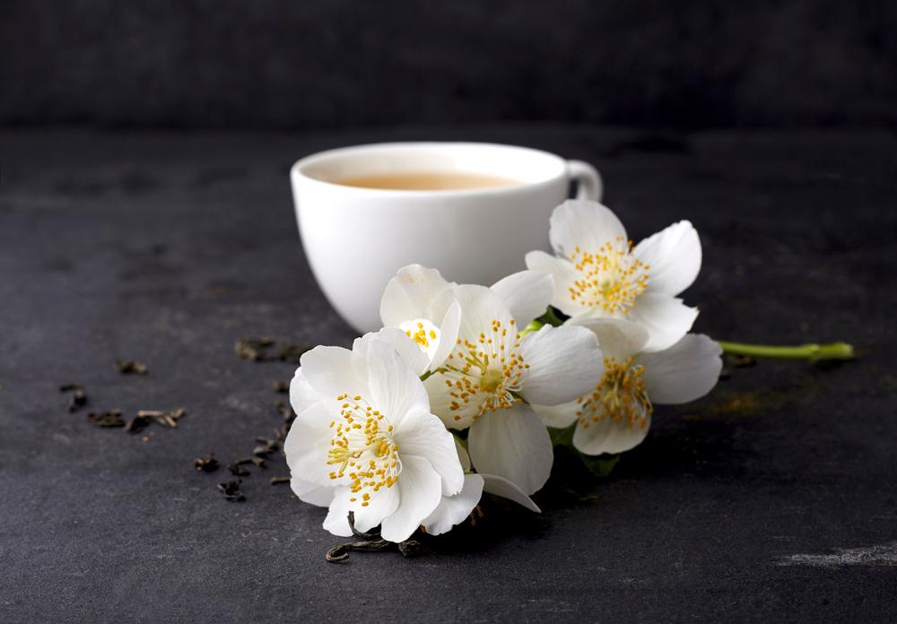 Mách nhỏ các mẹo dân gian trị sa tử cung hiệu quả, dễ thực hiện