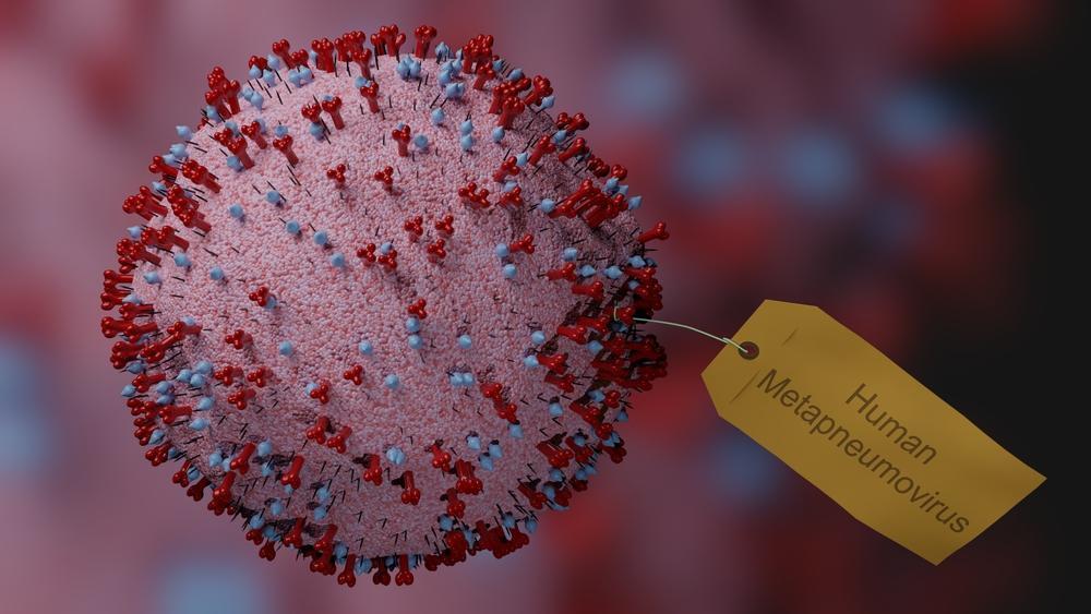 metapneumovirus