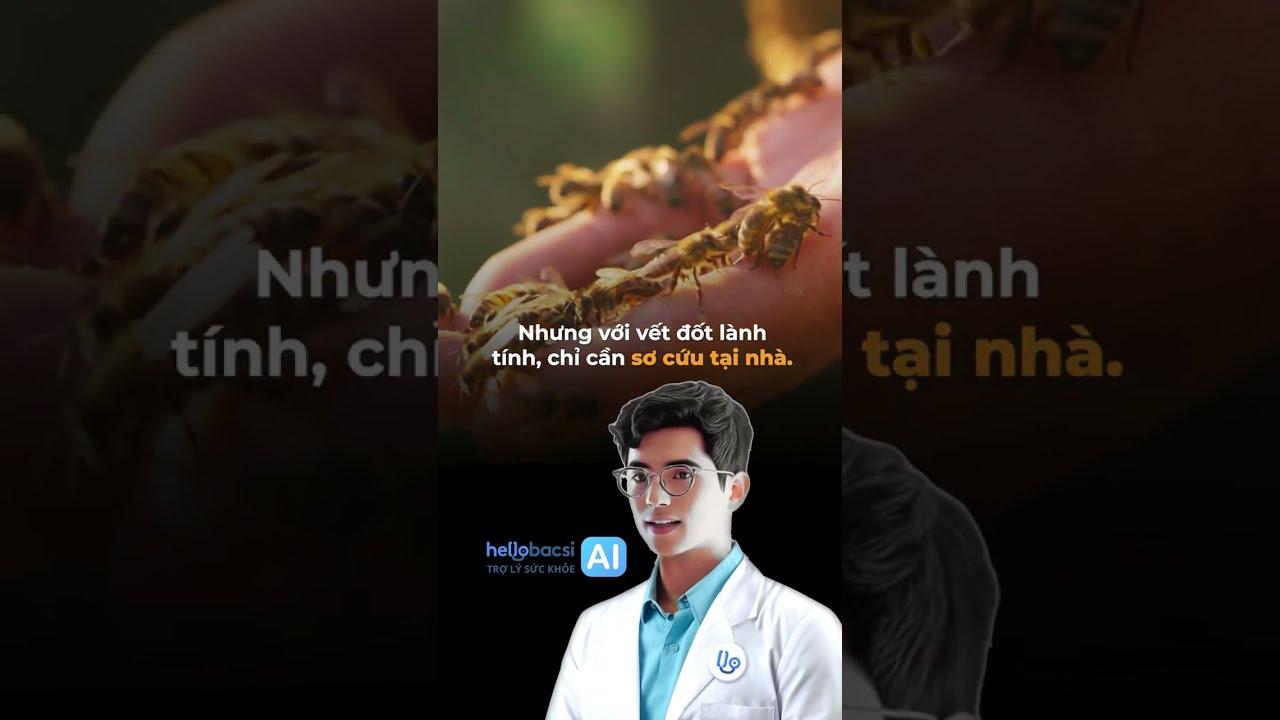 Cách xử lý khi bị ong đốt để tránh bị sưng và hết đau nhức