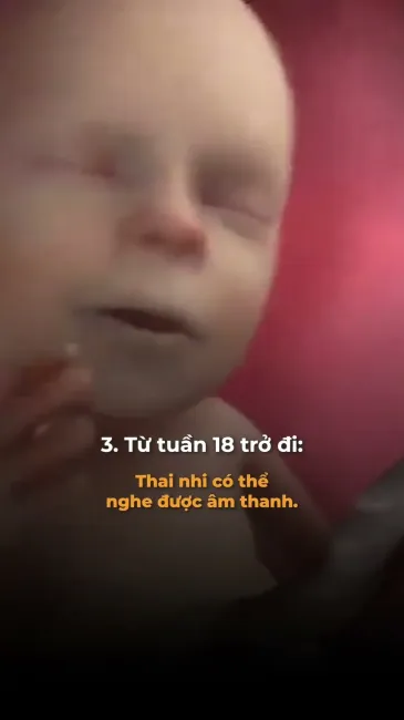 6 sự thật về thai nhi không phải ai cũng biết