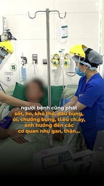 Chấn động: Điện Biên ghi nhận 14 người mắc bệnh than với 3 ổ dịch