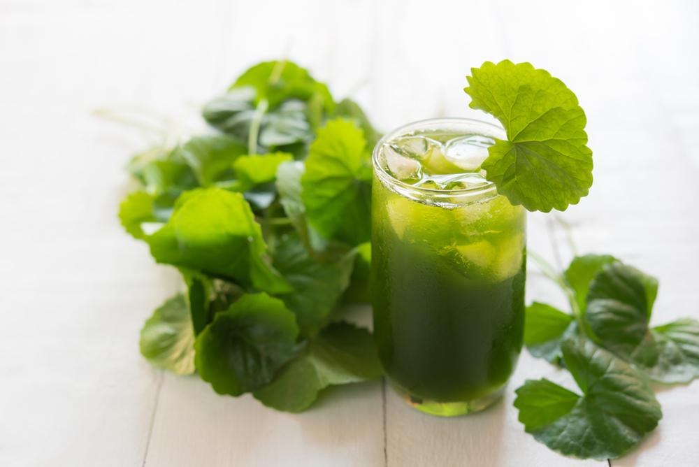 Nước ép rau má có tác dụng gì? 5 cách làm thơm ngon, trọn vị