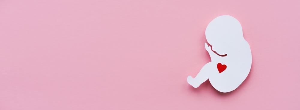 Nhịp tim thai 12 tuần biết trai hay gái? Mẹo đoán giới tính của bé 