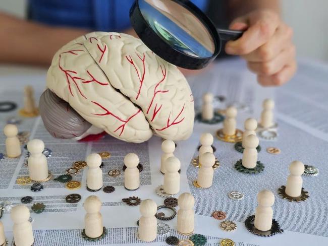 Chức năng nhận thức và tuần hoàn máu não: Mối liên hệ thường bị bỏ quên