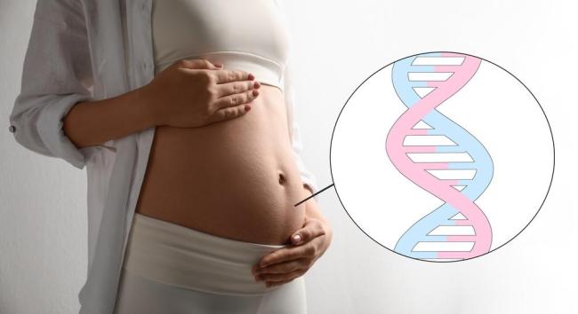 Xét nghiệm NIPT: Tất cả những điều mẹ bầu nên biết!