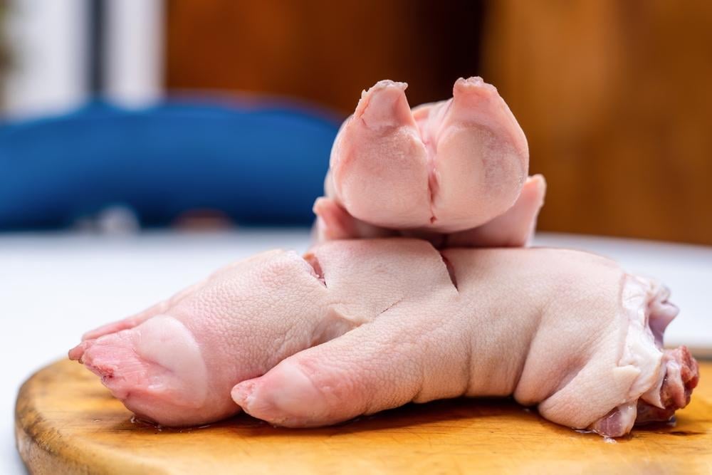 Bệnh liên cầu khuẩn ở lợn 