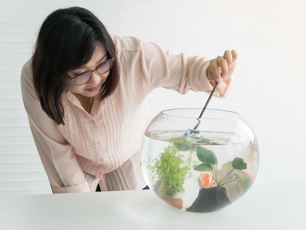 cách diệt lăng quăng