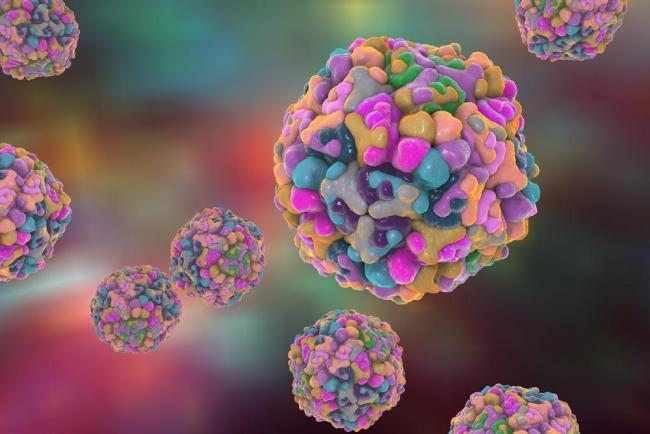 EV71 (Enterovirus 71) là gì? Triệu chứng lây nhiễm và cách điều trị