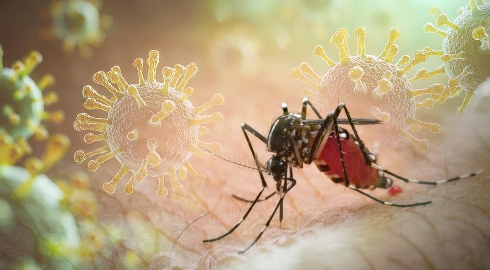 Sốt xuất huyết Dengue gây tổn thương gan: Những điều bạn cần biết