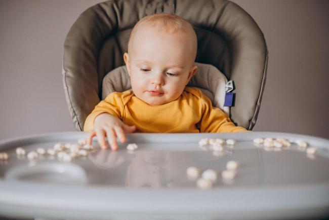 Top 3 bánh ăn dặm cho bé 6 tháng chất lượng, được tin dùng