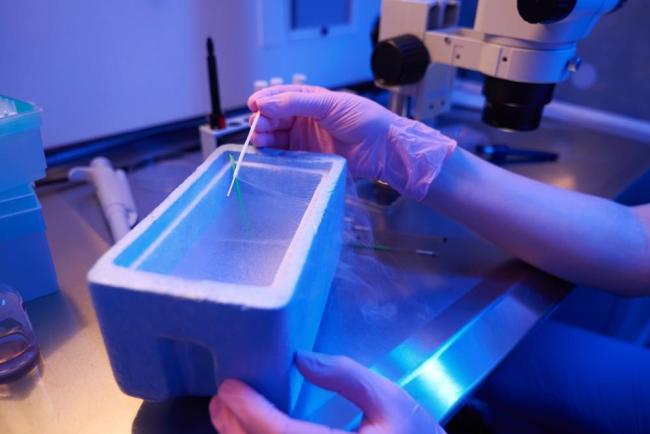 Quy trình trữ đông trứng: Các bước chi tiết và cách chọn nơi thực hiện an toàn