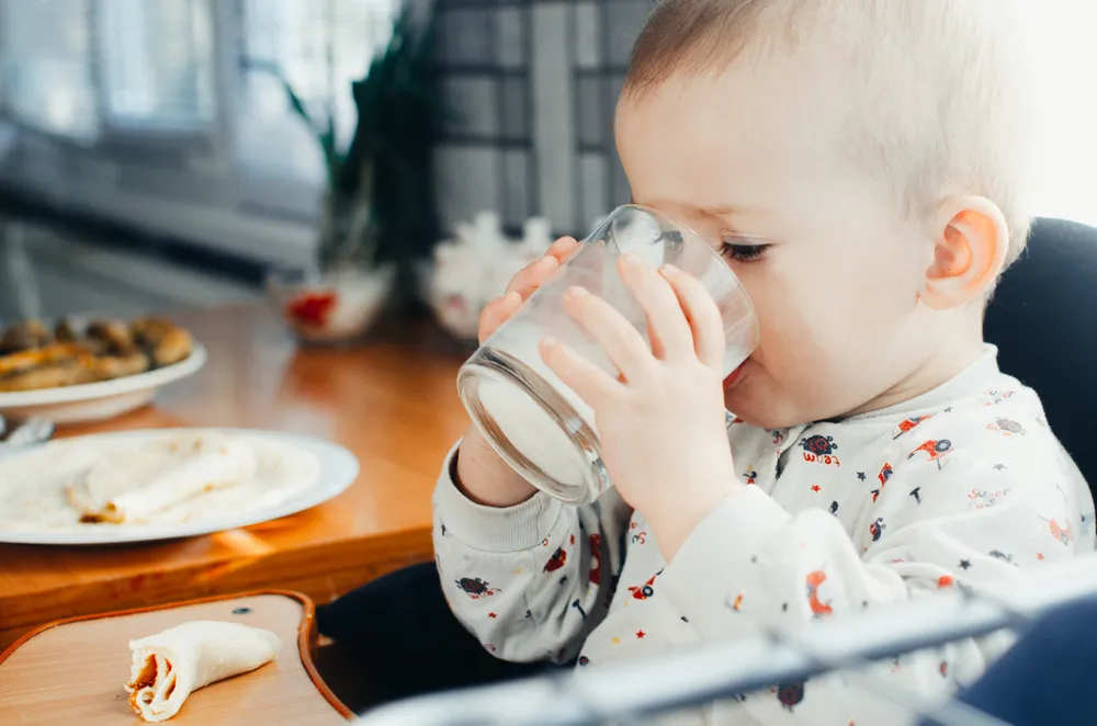 sữa đạm whey cho bé