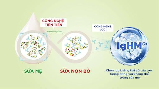 IgHM - kháng thể có cấu trúc 3D tương đồng kháng thể sữa mẹ