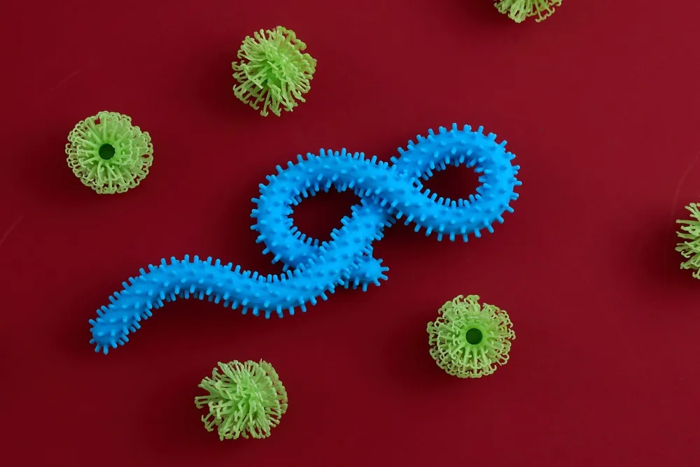 Mức độ nguy hiểm của virus ebola