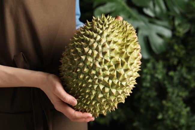 Ăn phải sầu riêng nhúng thuốc ảnh hưởng sức khỏe ra sao? Cách nhận biết sầu riêng nhúng thuốc và chín tự nhiên